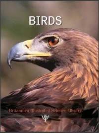 Britannica Illustrated Science Library : Birds