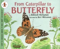 From Caterpillar to butterfly