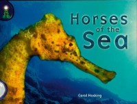 Horses of the sea