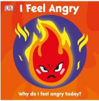 I Feel Angry Why do I feel angry today