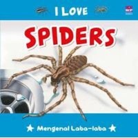 I love Spiders: Mengenal Laba-Laba