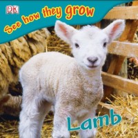 Lamb