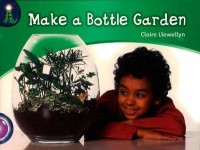 Make a bottle garden