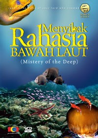 Menyibak rahasia bawah laut