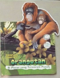 Orang utan: si pintar yang terancam punah