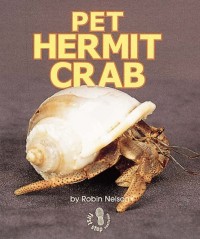 Pet Hermit Crab