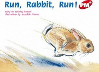 Run rabbit run