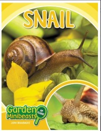 Snail