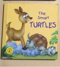 The smart Turtle