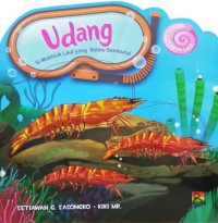 Udang: si mahluk yang selalu sembunyi