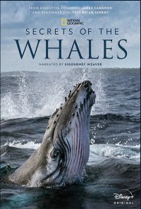 Whales