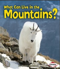 What Can Live in a Mountains?