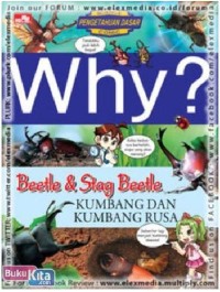 Why? : Kumbang dan Kumbang Rusa