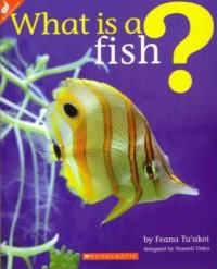 What is a fish ?